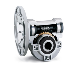 ��������� �����-�������� INNOVARI